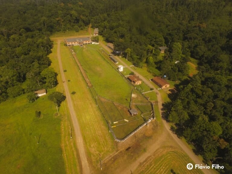 Projeto faz estudantes interagirem com a natureza