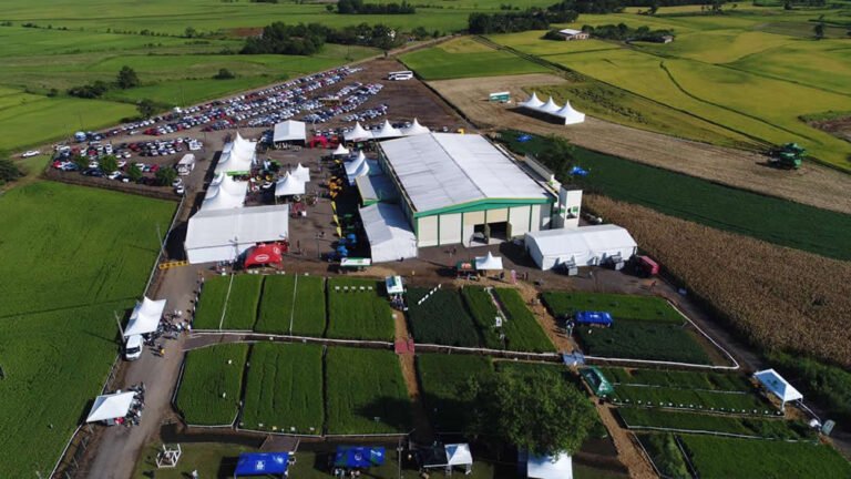 Campo Agroacelerador terá um dia a mais na programação
