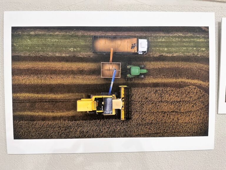Exposição fotográfica Rota do Arroz reúne comunidade em museu de Morro Grande