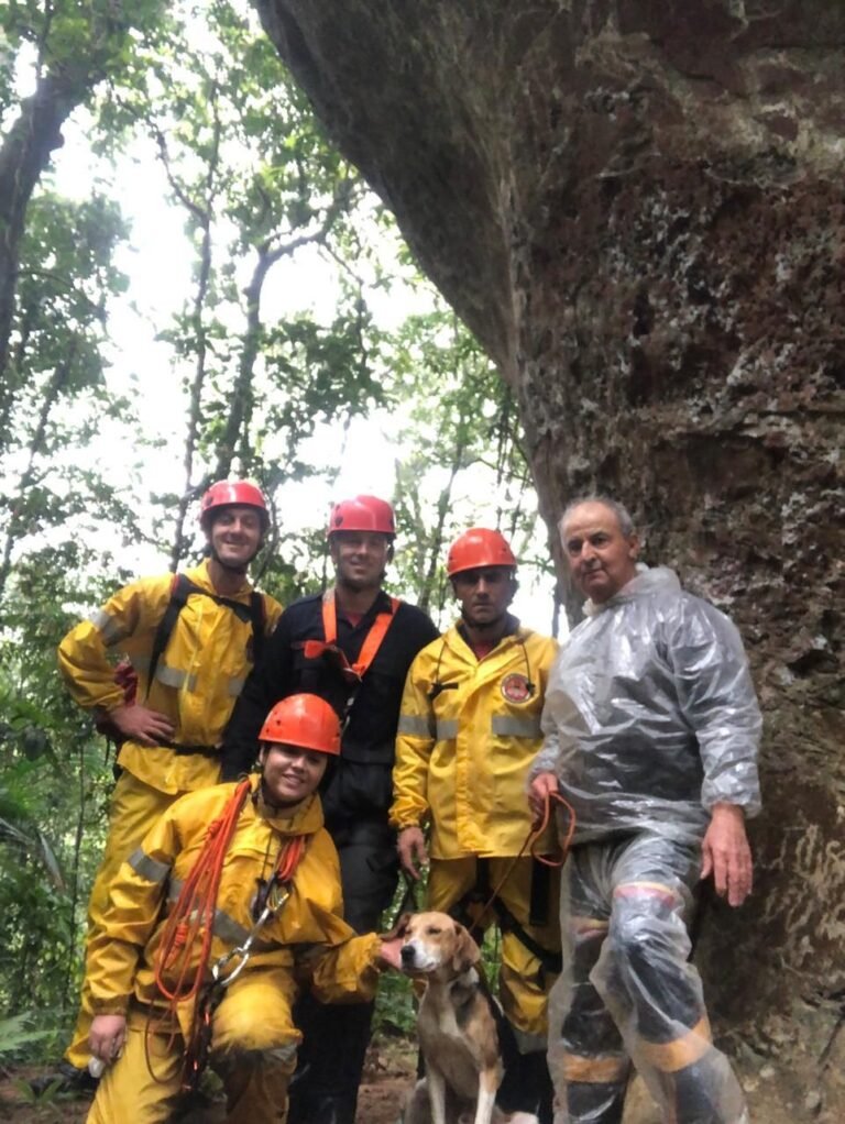 Bombeiros resgatam cão que caiu em paredão